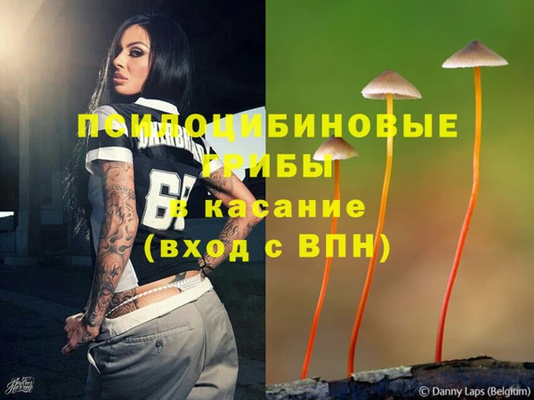 стафф Магас